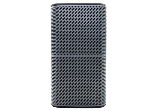 Anti-Recording Bluetooth Speaker HD333