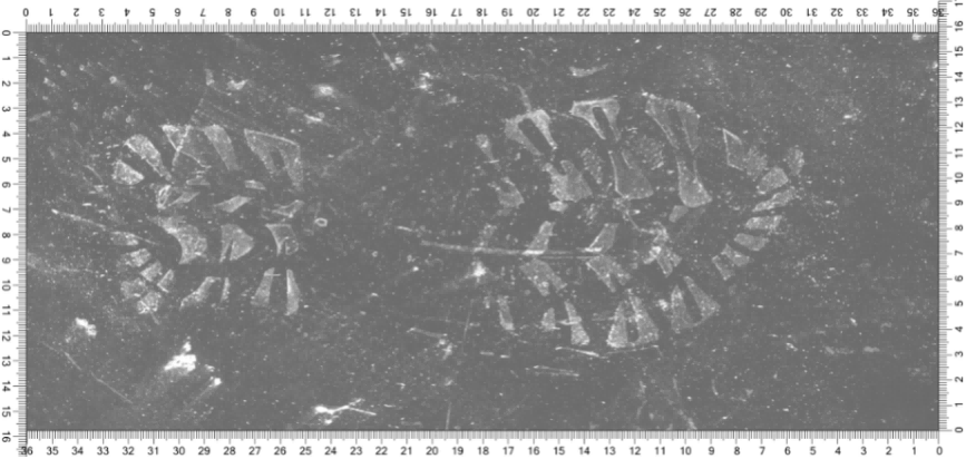 TRACETECH™ FW10 Intelligent Shoeprint Scanning System