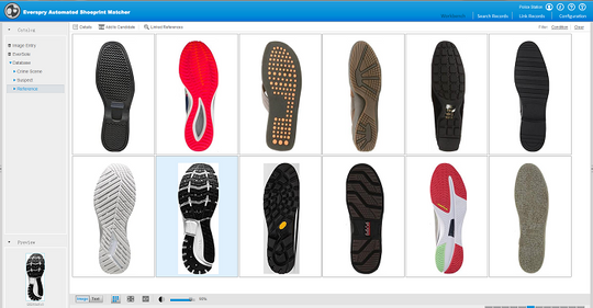EverSole Shoeprint Database (Annual Subscription Version)